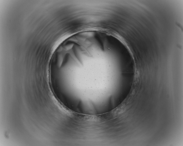 X0000102870811200808251240