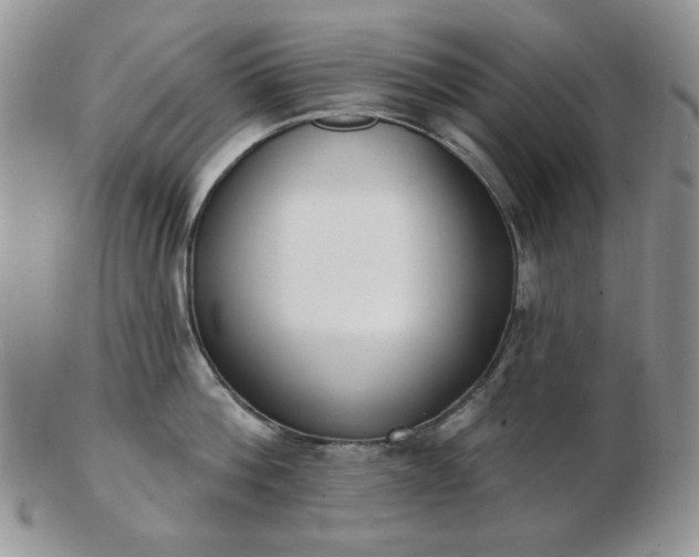 X0000102870812200808251240