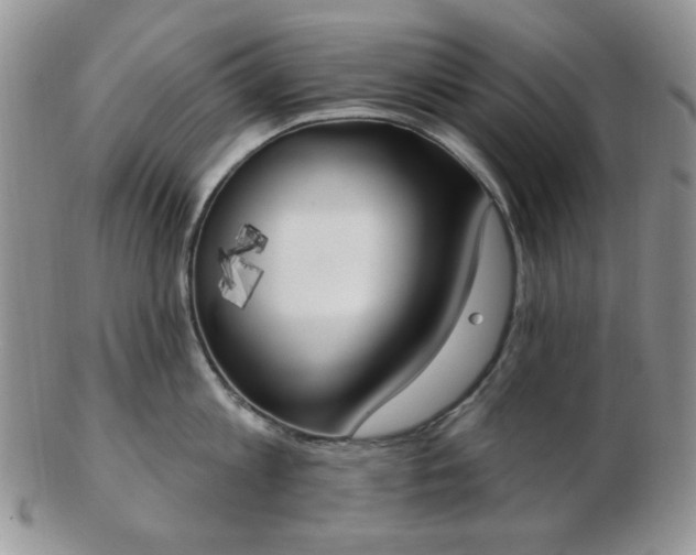 X0000102870813200808251240