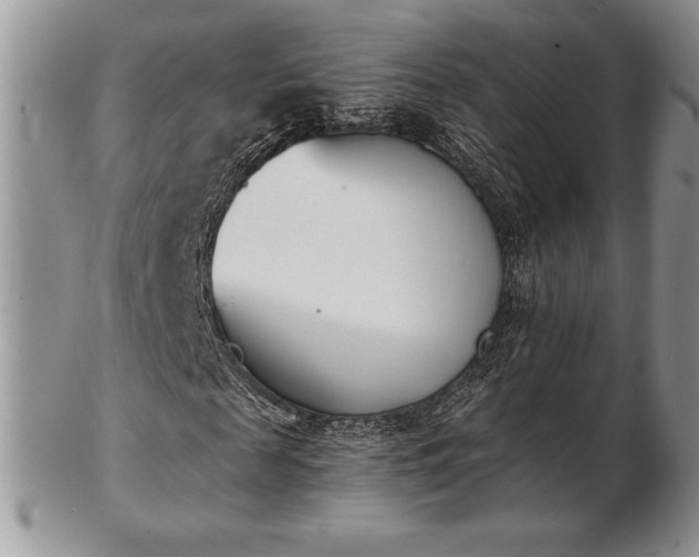 X0000102870817200808251239