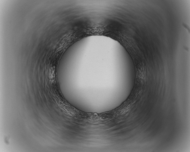X0000102870818200808251239