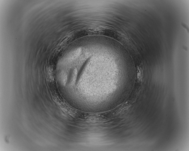 X0000102870819200808251239