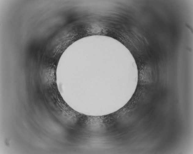 X0000102870820200808251239