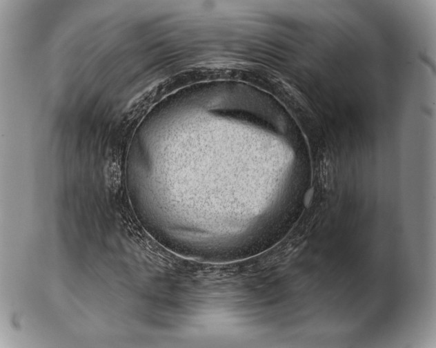 X0000102870821200808251239
