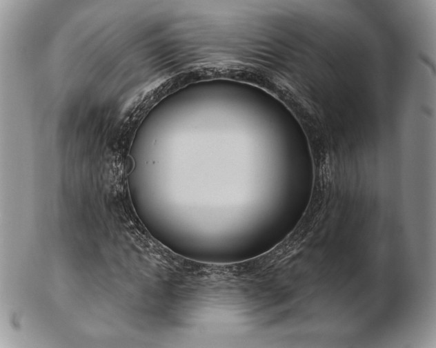X0000102870822200808251239
