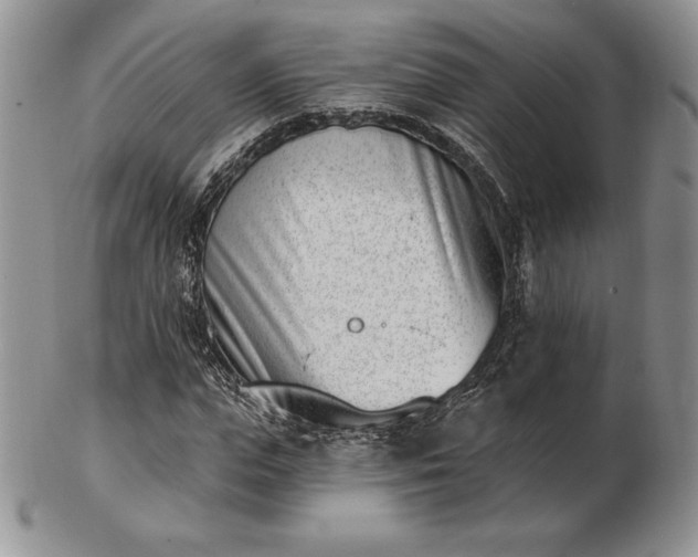 X0000102870823200808251239
