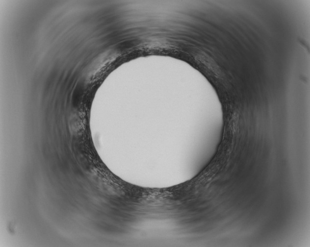 X0000102870824200808251239