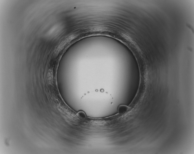 X0000102870825200808251239