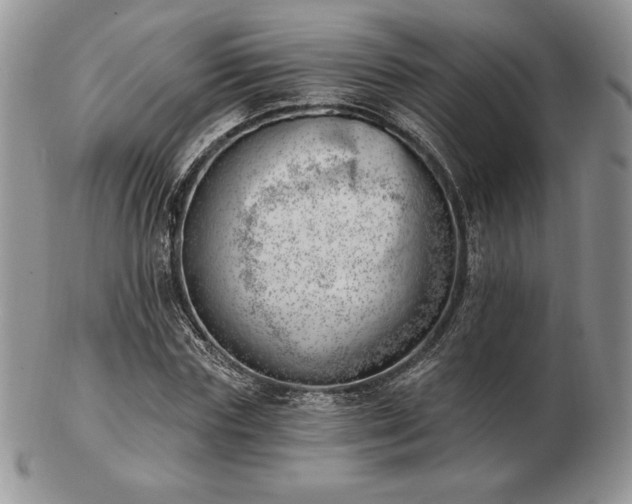 X0000102870827200808251239