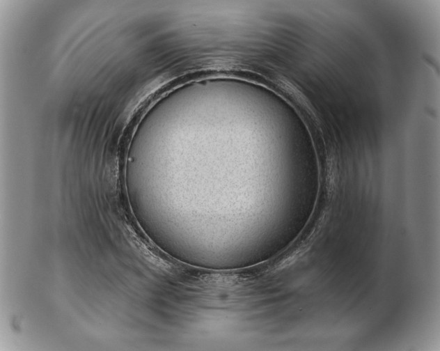 X0000102870831200808251239