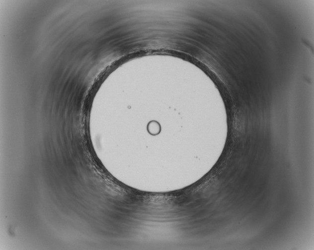 X0000102870832200808251239