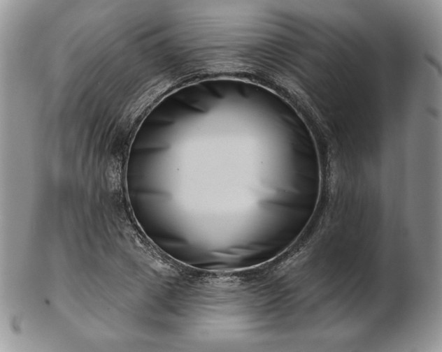 X0000102870833200808251239