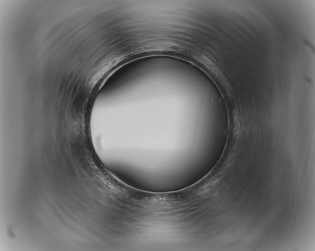 X0000102870834200808251239