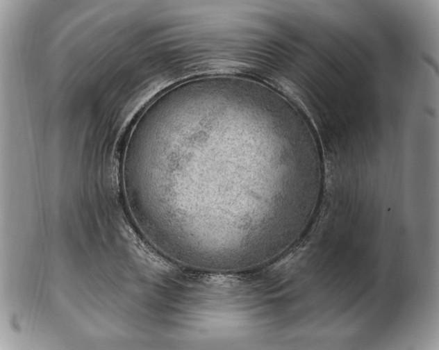 X0000102870835200808251239