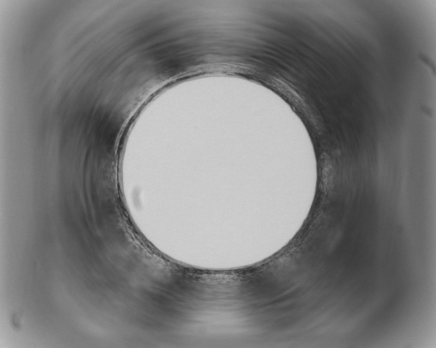 X0000102870836200808251239