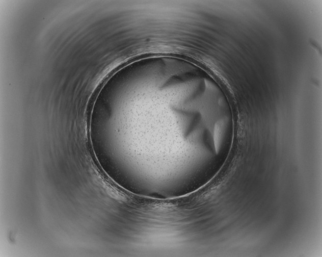 X0000102870837200808251239