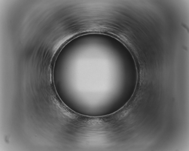 X0000102870838200808251239