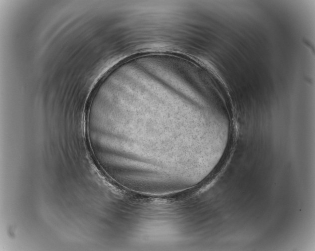 X0000102870839200808251239