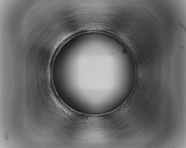 X0000102870840200808251239