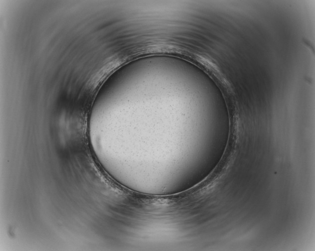 X0000102870841200808251239