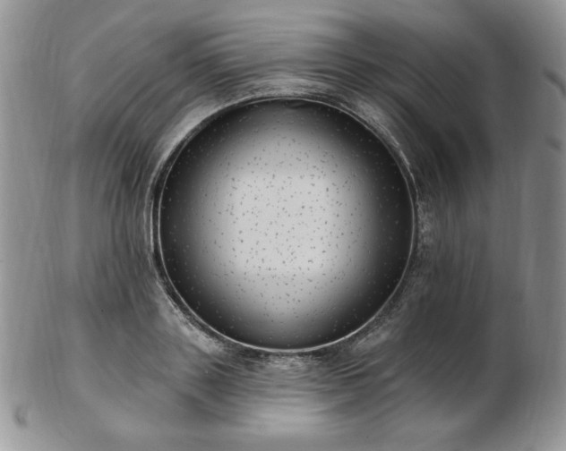 X0000102870843200808251239
