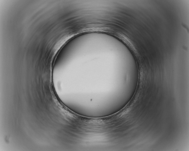 X0000102870844200808251239