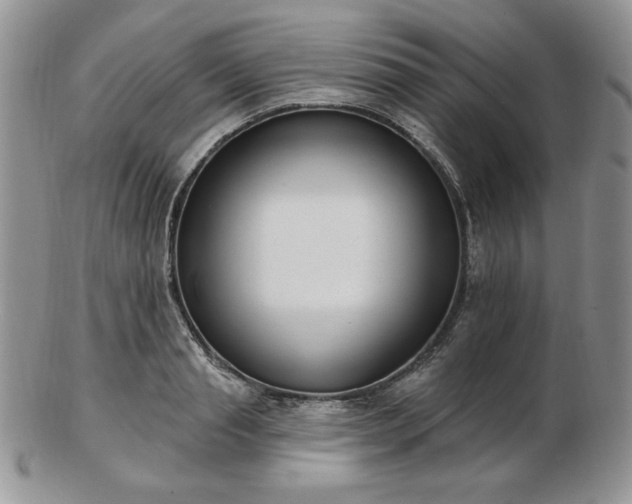 X0000102870845200808251239