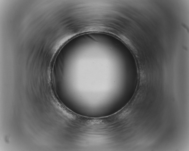 X0000102870846200808251239