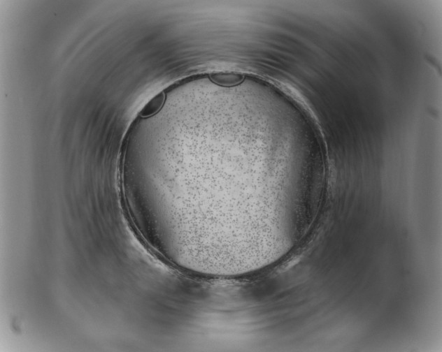 X0000102870847200808251239