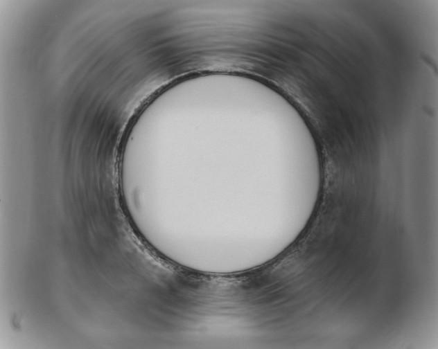 X0000102870848200808251239