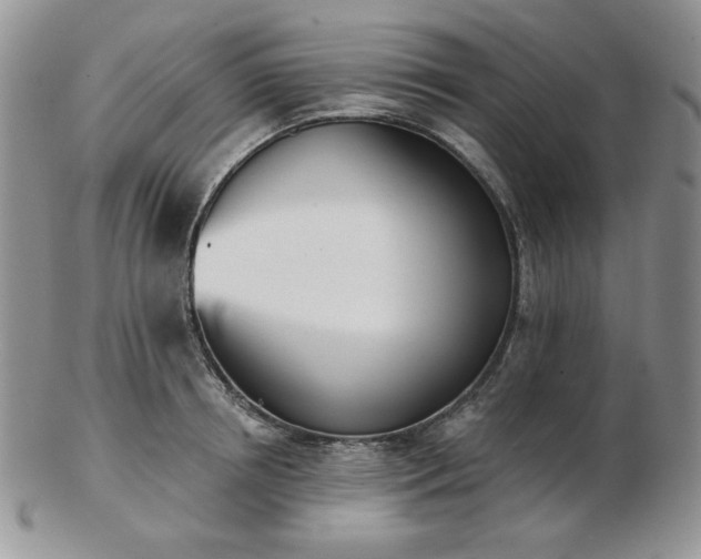 X0000102870850200808251239