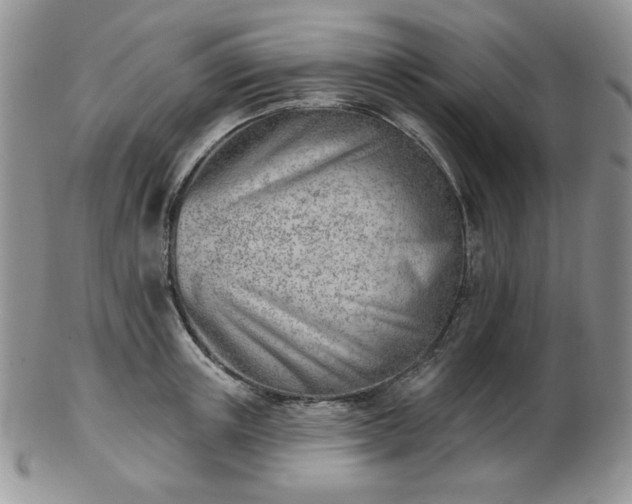 X0000102870851200808251239