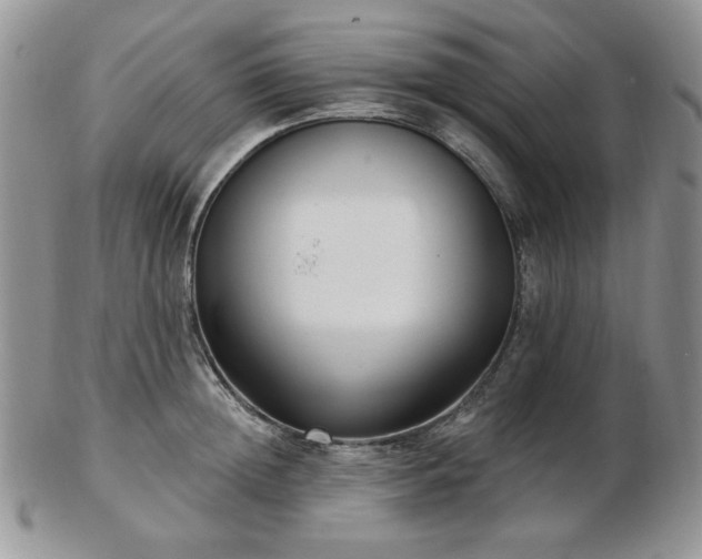 X0000102870852200808251239