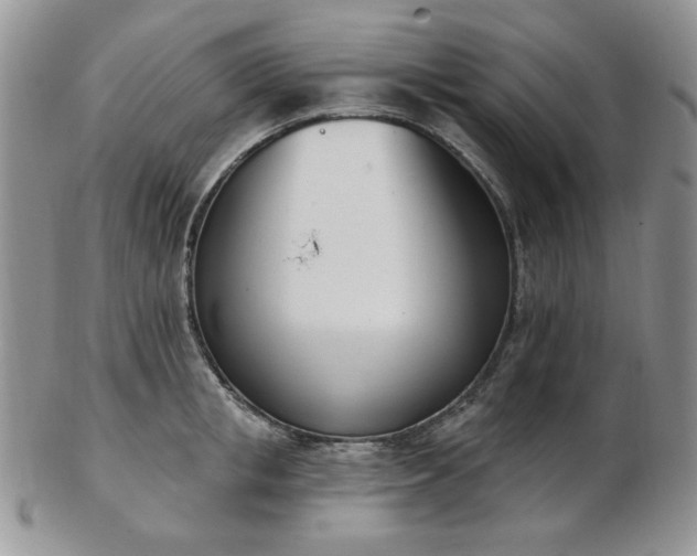 X0000102870853200808251239
