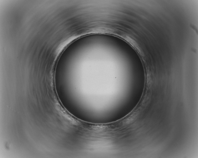 X0000102870854200808251239