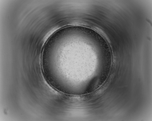 X0000102870855200808251239