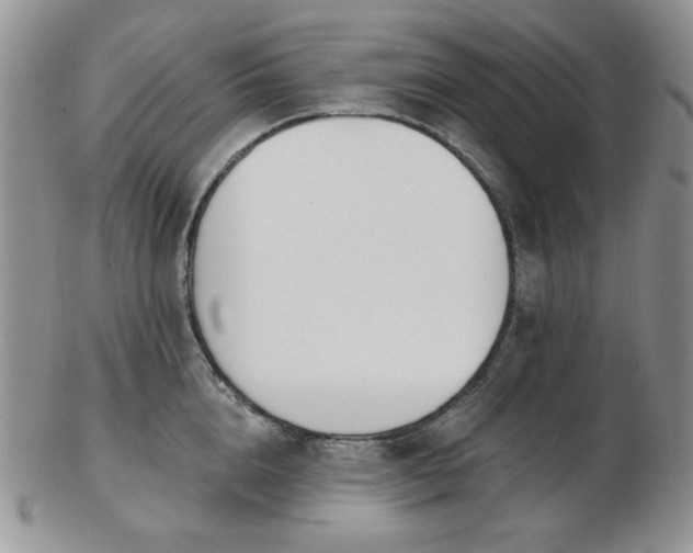 X0000102870856200808251239