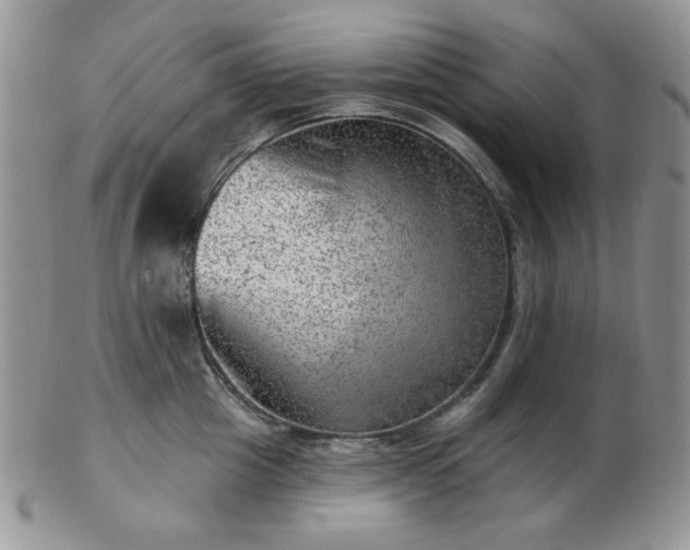 X0000102870857200808251239
