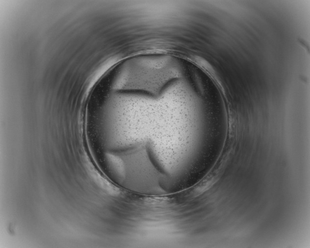 X0000102870859200808251239