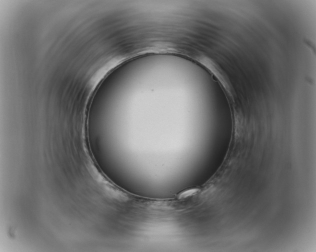 X0000102870861200808251239