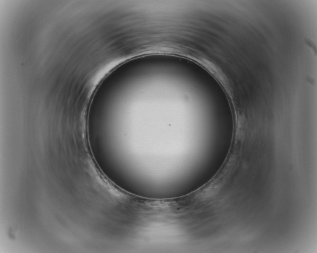 X0000102870862200808251239