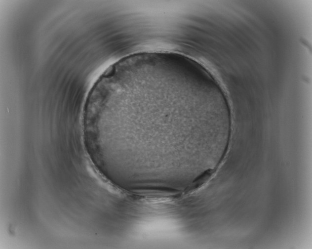 X0000102870864200808251240