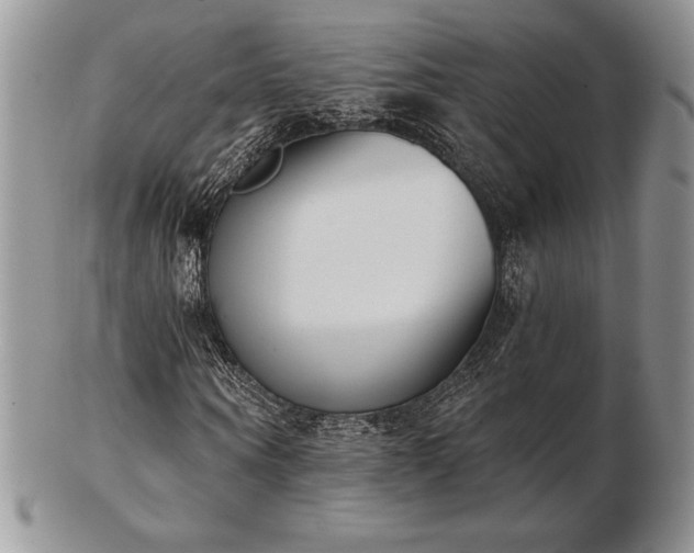X0000102870866200808251239
