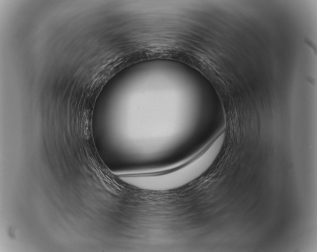 X0000102870868200808251239