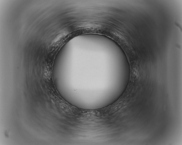 X0000102870869200808251239