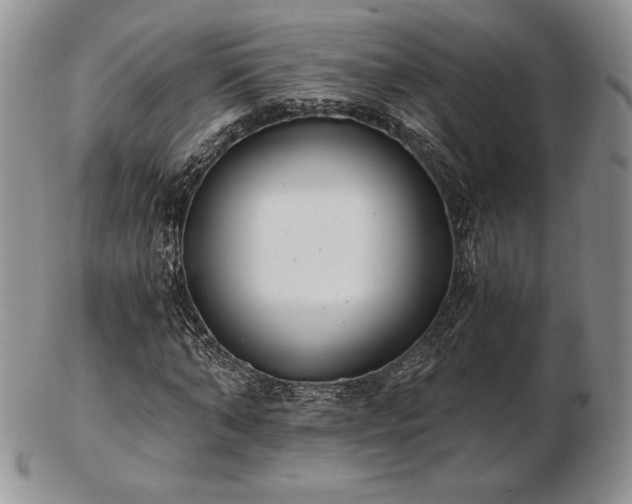 X0000102870870200808251239