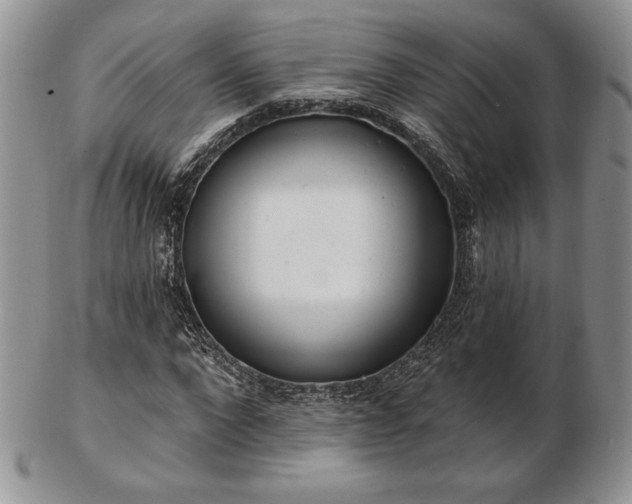 X0000102870872200808251239