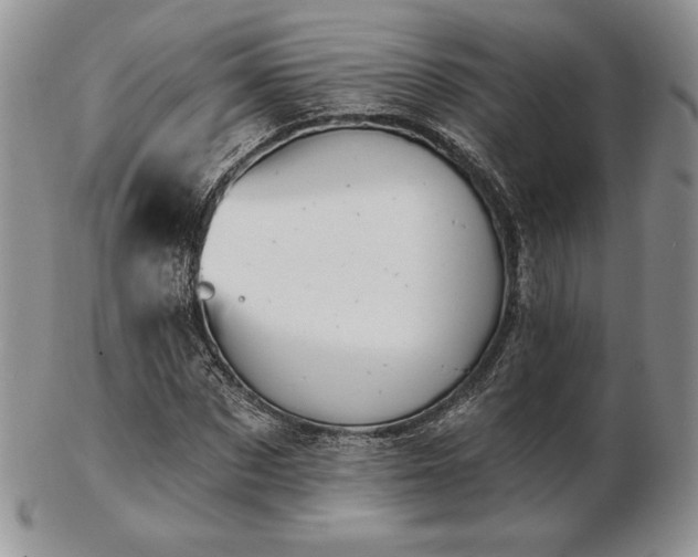 X0000102870873200808251239
