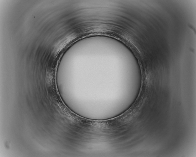 X0000102870874200808251239