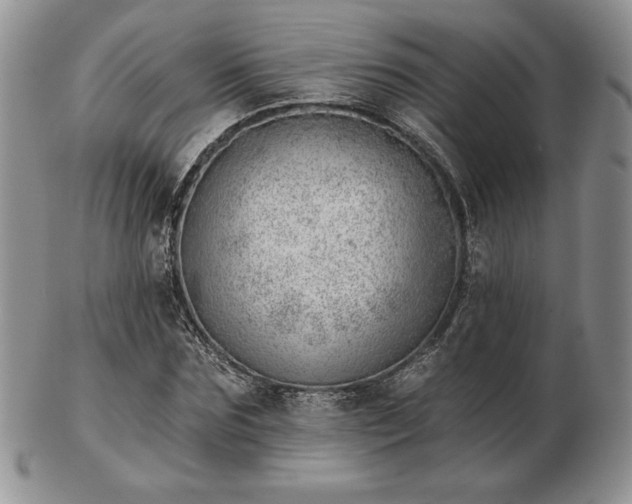 X0000102870875200808251239
